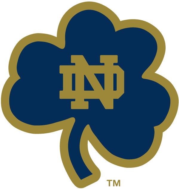 Notre Dame Fighting Irish 1994-Pres Alternate Logo v18 diy iron on heat transfer